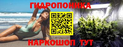 твердый Заводоуковск