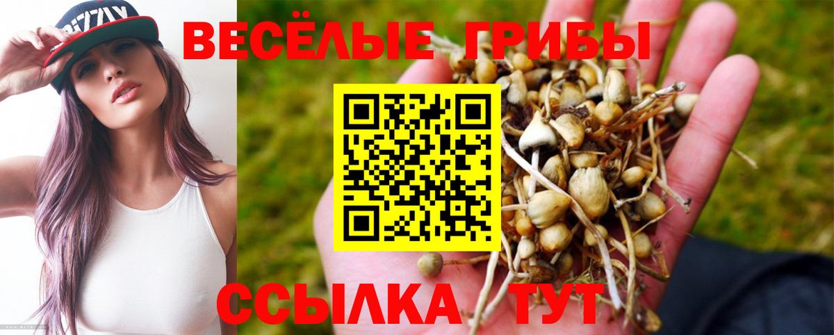 Псилоцибиновые грибы ЛСД Новый Уренгой